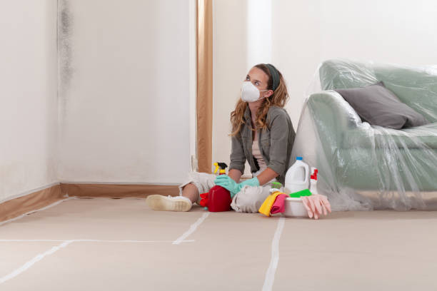 Reliable Basement Mold Remediation contractor in Bedford, MA by Car Mold Remediation